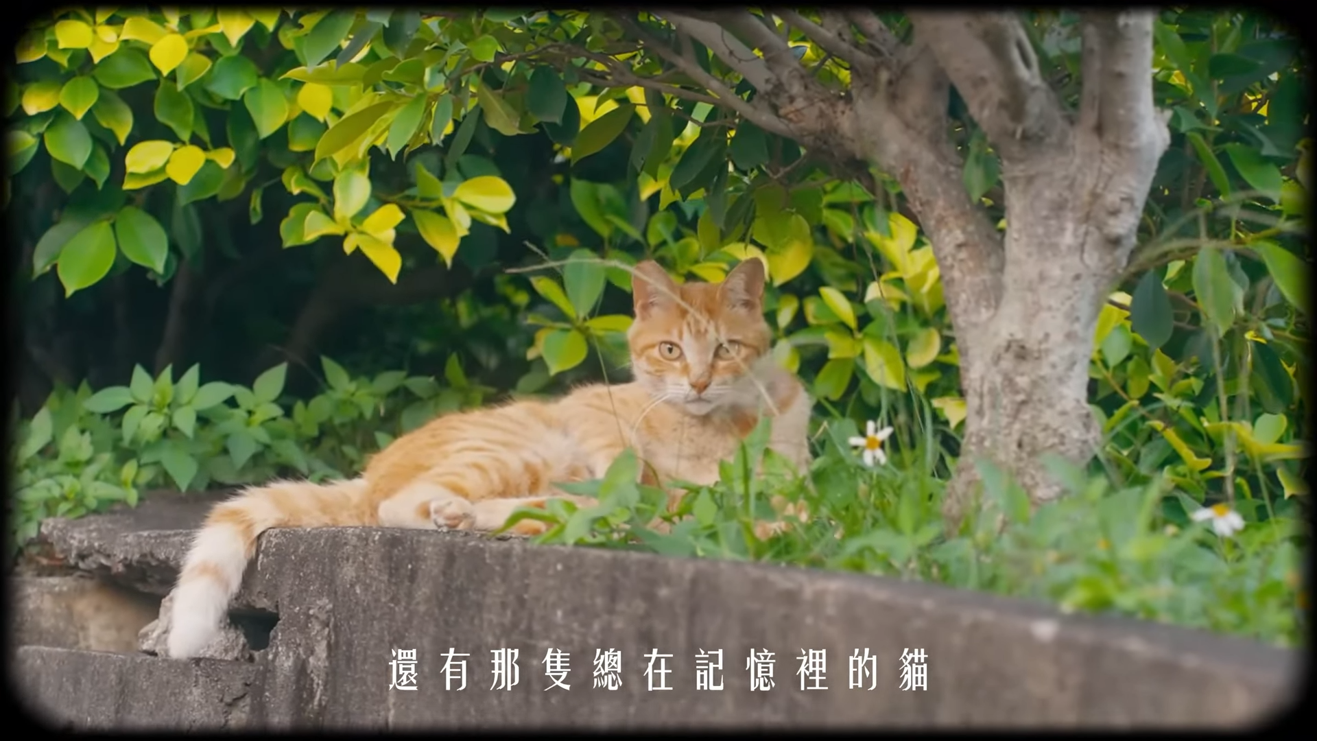 乘車資訊 圖示